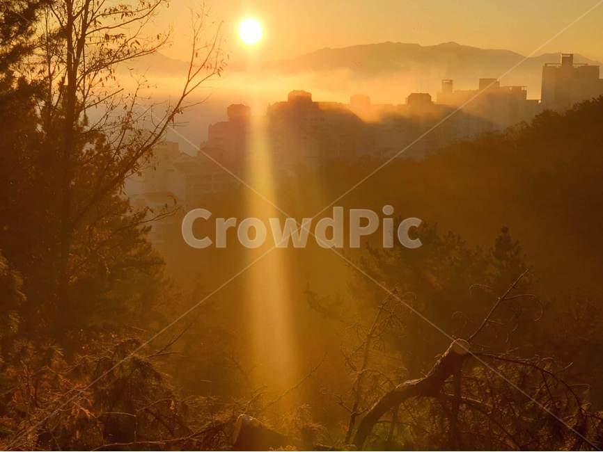 플레어,light,빛,햇빛,산,일출,자연,운해,도시