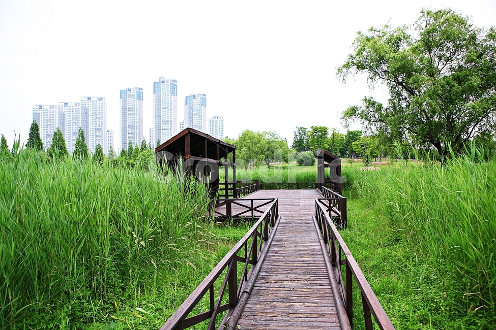 trail,road,nature,park,Ansan Lake Park