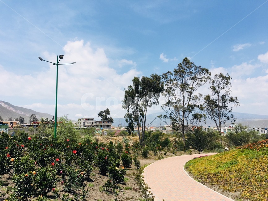 에콰도르,키토,해외,산책로,oversea,foreign,꽃,flower,quito,하늘,맑음,구름,weather,sky,cloud