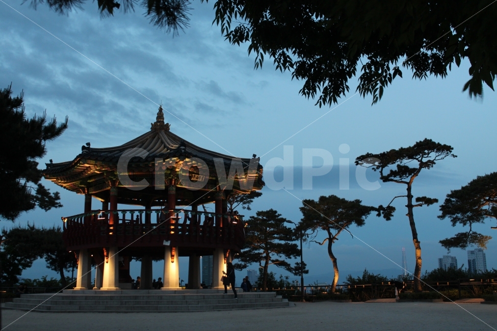 서울,응봉산,응봉역,야경,공원,자연,풍경,nature,landscape,한국전통,한국문화,korean traditional,korean culture