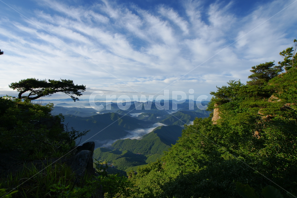 대둔산,운해,신록,구름,안개,소나무,완주군,자연,풍경,nature,landscape,한국자연풍경,한국자연경관,korea nature landscape,outdoors,옥외