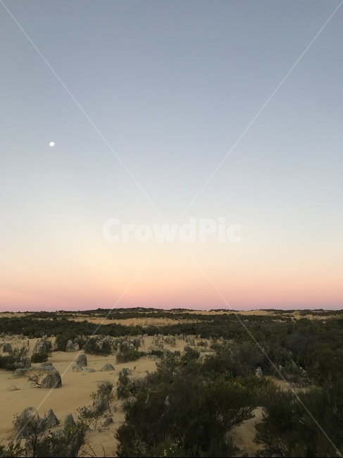 사막,desert,풍경,자연,사막풍경,사막경치,돌,피나클스,호주,호주자연,호주경치,오스트레일리아,austrailia