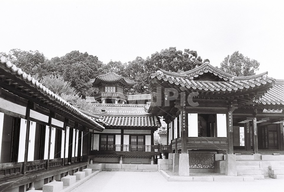 한국전통,궁,경복궁,한국전통궁궐,koreanpalace,koreantraditional,koreanculture,한국전통,한국문화,korean traditional,korean culture,흑백,모노톤,monochrome,black and white,건축물,건물외관,exterior,building,structure,architecture,construction