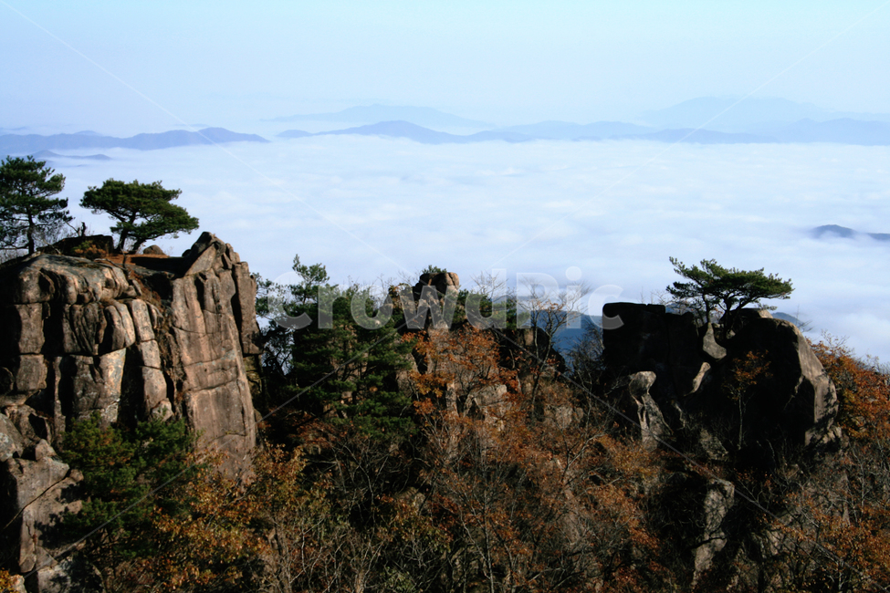 산,대둔산,가을,안개,운해,아침,바위,한국
