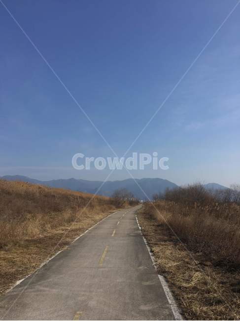 풍경,경치,감성,산책길,도로