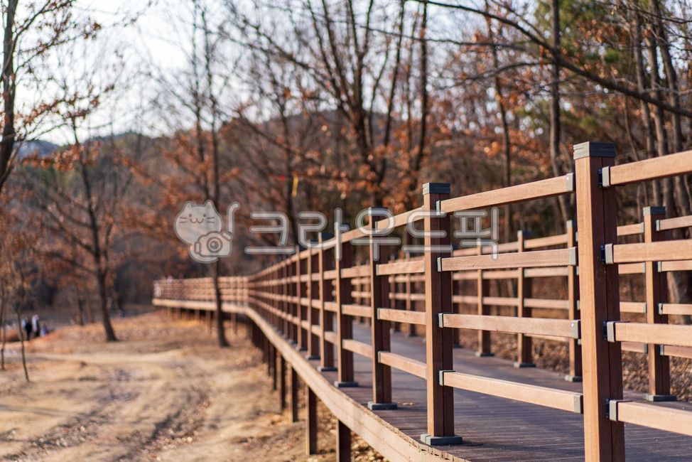 sky,Daecheong Lake Five Baekri Road,trekking,tree branch,Five hundred miles road,tree,winter,Donggu,Daejeon,branch,Chungnam,Trekking course,Daecheong Lake,wood,Handrail,Chungcheongnamdo,walk