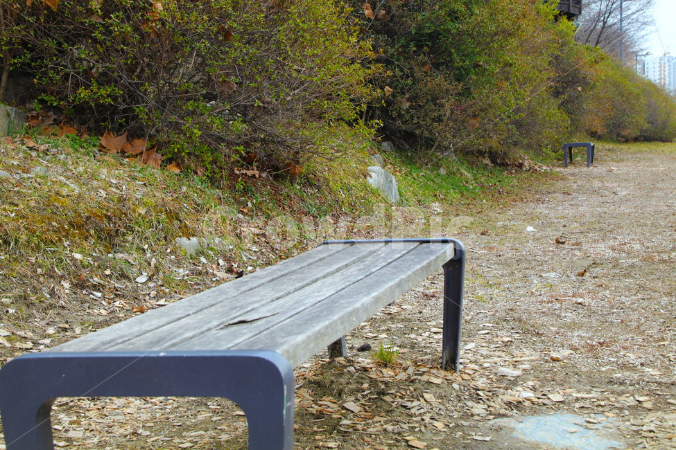 길,의자,밴치,길가,풀,숲,둘레길,자연,풍경,nature,landscape,bench,벤치,park bench,공원 벤치