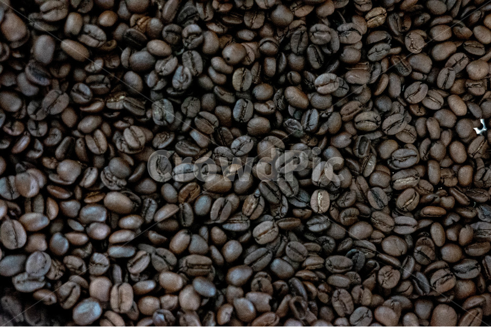 커피콩,roasting,커피빈,로스팅,coffee,커피,원두