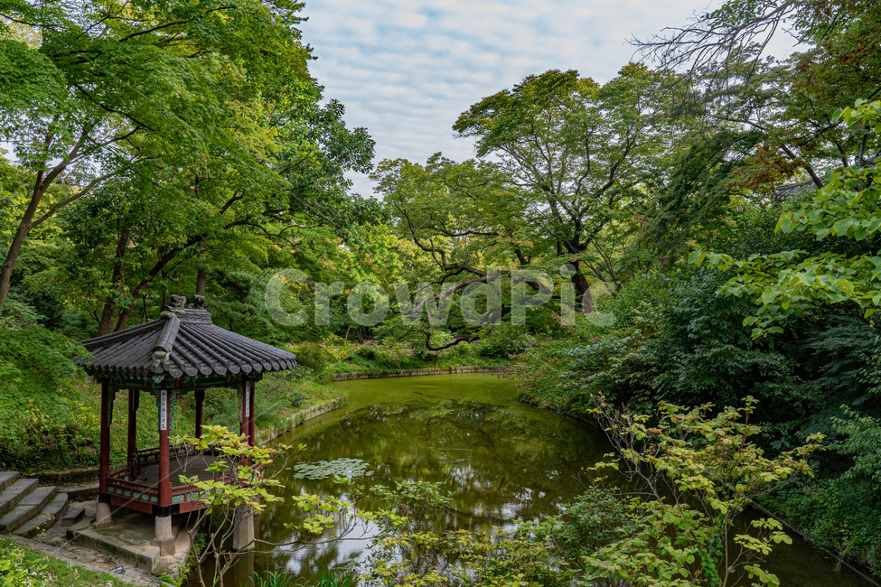 창경궁후원,고궁,건물,palace,창경궁,한국전통,한국문화,korean traditional,korean culture,건축물,건물외관,exterior,building,structure,architecture,construction