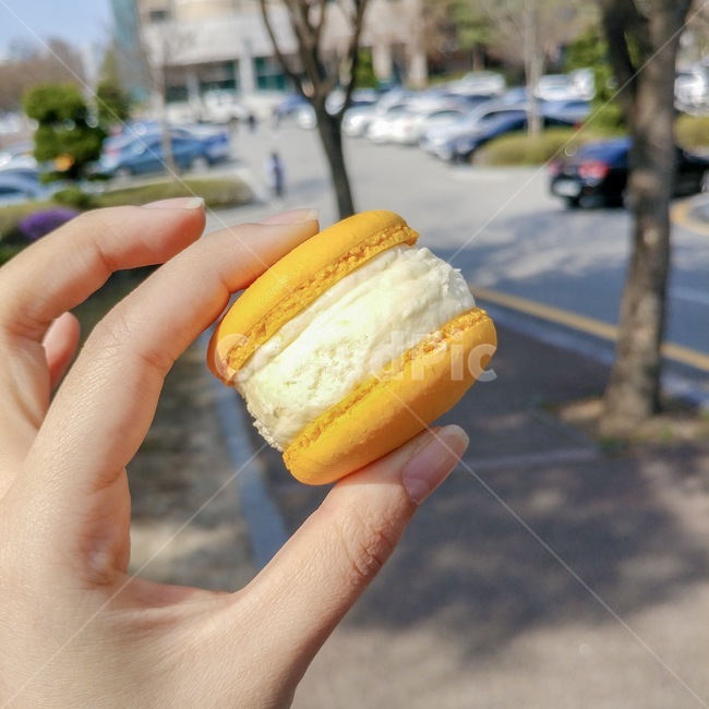 마카롱,노란색,뚱카롱,macaron,야외,yellow,손,노랑,hand,낮,day,outside