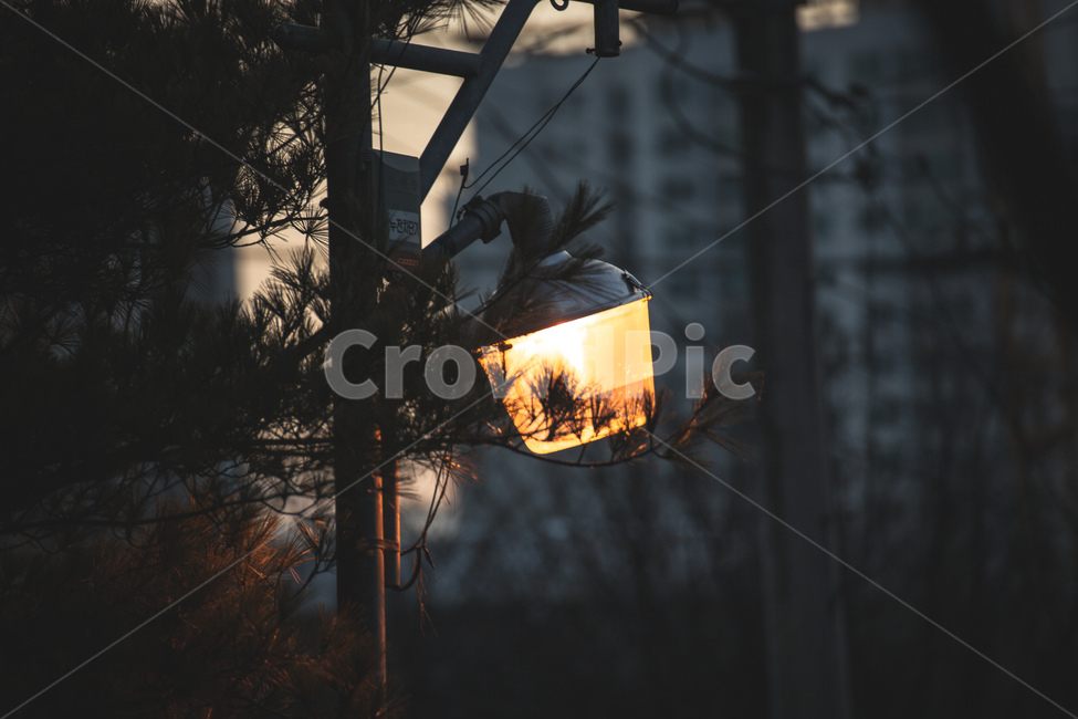 겨울,가로등,따스함,동네,고독,야경,밤,풍경,nightscape,night,landscape
