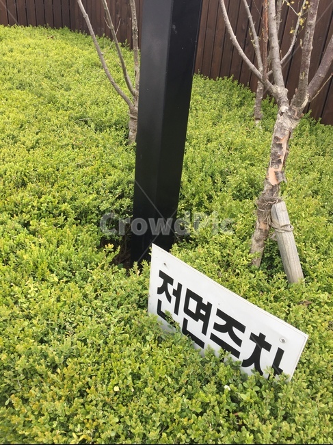 전면주차,주차,주차장,주차금지,자동차