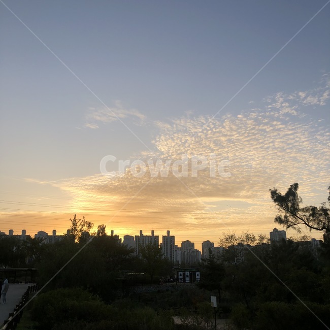 nature,자연,하늘,sunset,일몰,sunlight,붉은하늘,redsky,새벽,햇빛,노을