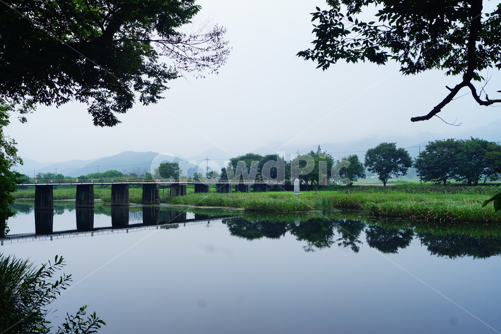 nature,자연,land,water,물,다리,자연,풍경,nature,landscape,outdoors,옥외