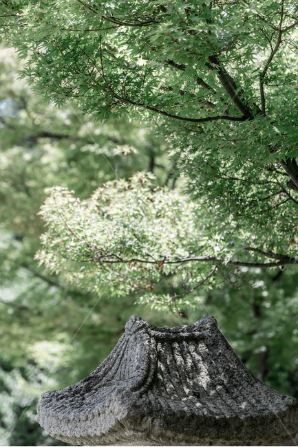 비석,기원,탑,염원,무늬,전통정원,한국전통,한국문화,korean traditional,korean culture,조각상,동상,석상,조형물,statue,bronze statue,stone statue