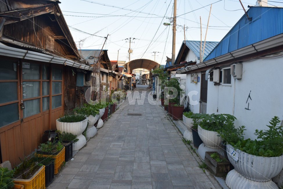 골목,화분,식물,옛날,풍경,alley,plant