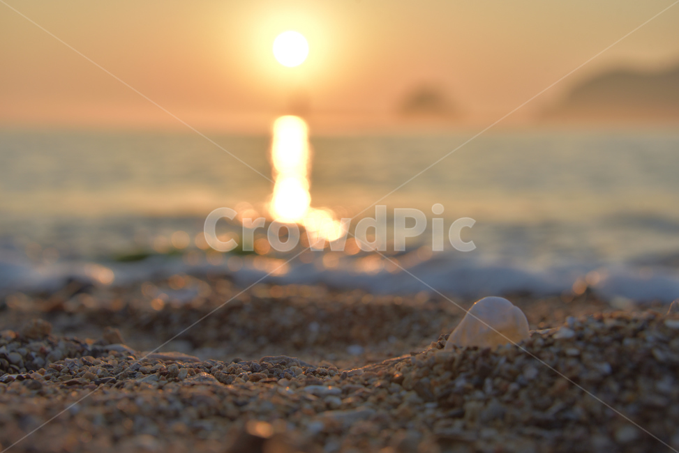 낙조,sunset,seashore,해변,해넘이,노을,저녁,바다,조개,모래사장,shell,해변,바다,beach,sea