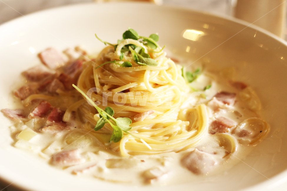 food,식품,spaghetti,스파게티,pasta,파스타,dish,요리,meal,식사,음식,식재료,요리,food,cook,meal,dishes,food reserves,양식,서양음식,서양요리,western food,western dishes,western meal,western cook