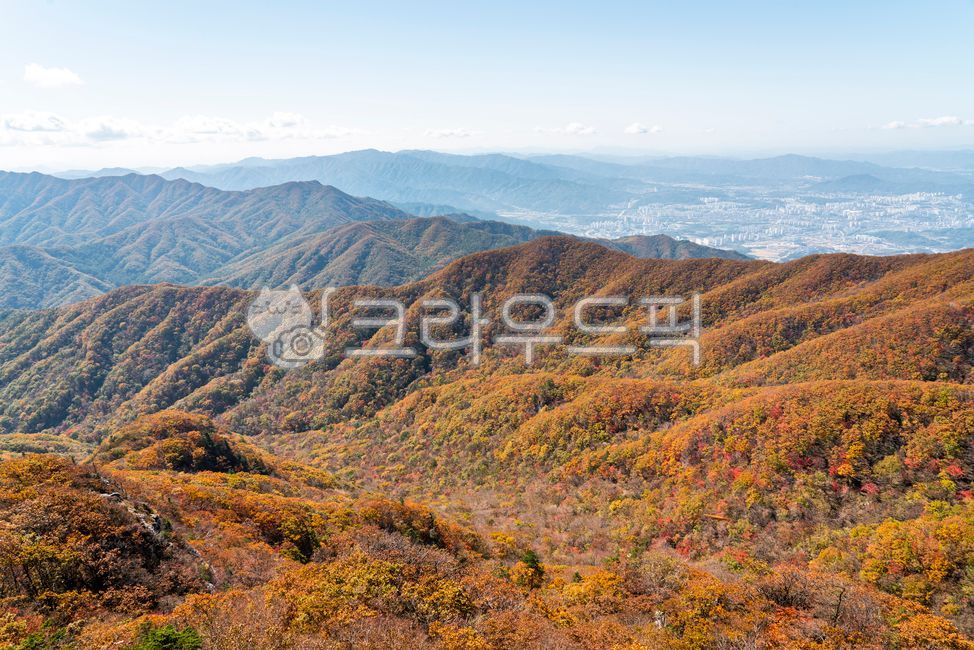 단풍,가을단풍,낙엽,단풍잎,단풍나무,식물,가을,계절,치악산,가을등산,가을등반,등산,등반,산행,능선,풍경,자연,원주치악산,nature,outdoors,옥외,가을,계절,fall,autumn,season