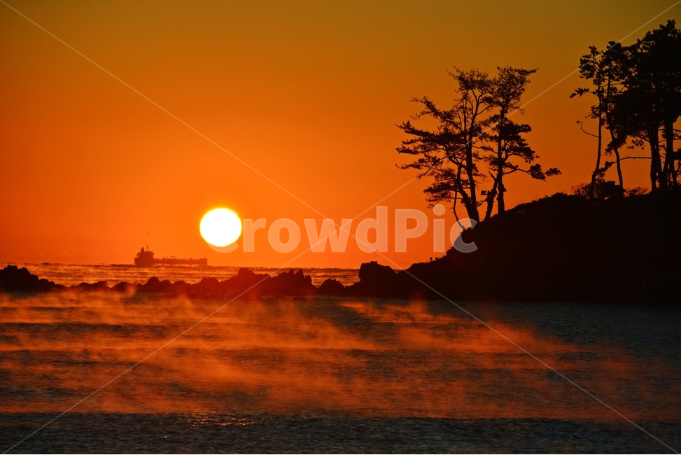 nature,자연,outdoors,옥외,sky,하늘,dawn,새벽,redsky,붉은하늘,sunlight,햇빛,울산,울주,명선도,강양항,명선도아침,일출,해돋이,여명,소나무,경치,경관,풍경,물안개,자연,풍경,nature,landscape