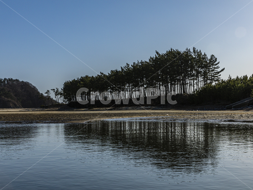 반영,하늘,바다,지평선,나무,자연,풍경,nature,landscape