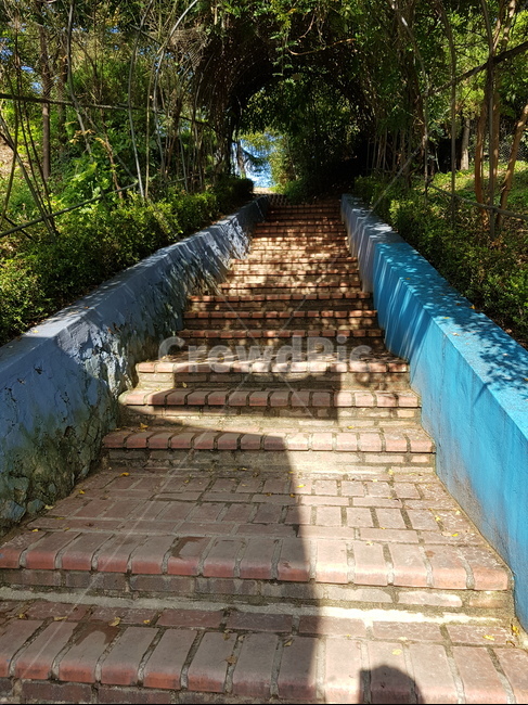 배경,계단,나무,여름,터널,자연,풍경,nature,landscape,path,통로,walkway,보도,flagstone,판석,slate,슬레이트