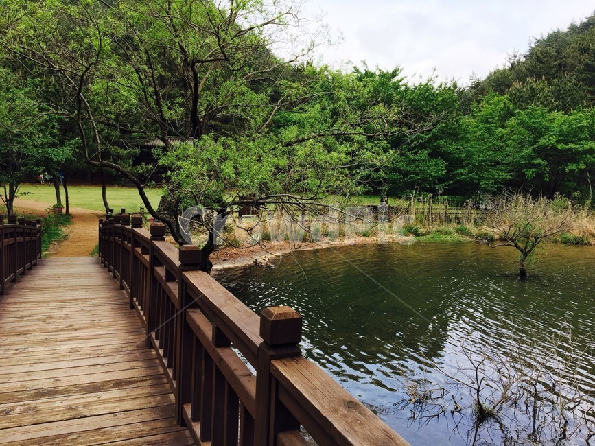 다리,배경,그림,풍경,여름,자연,풍경,nature,landscape,bridge,boardwalk,산책로,building,건물,water,물