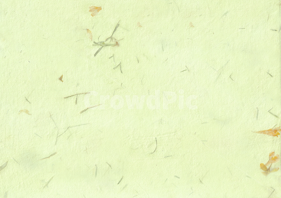 한지,전통,한국,배경,종이,질감,꽃잎,마른,초록색,명절,빈티지,낡은,한국전통,한국문화,korean traditional,korean culture