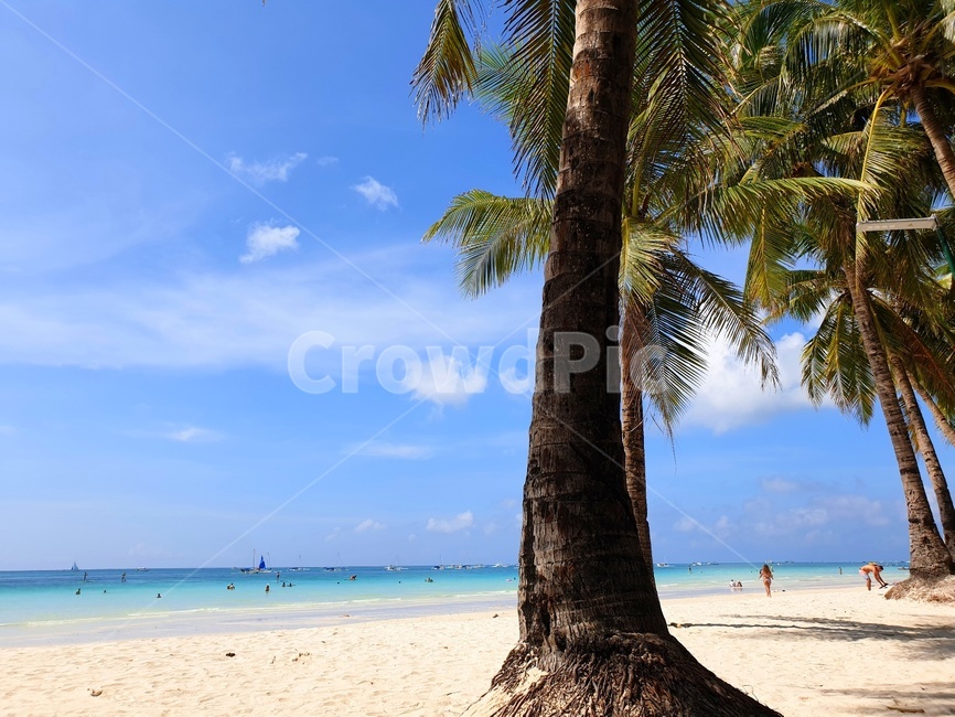 해변,화이트비치,whitebeach,palmtree,야자수,보라카이,boracay,여름,summer,emerald,에메랄드,자연,nature,하늘,sky,바다,ocean,여유,leisure,낭만,모래사장,sandybeach,sunny,맑은,화창한,해변,바다,beach,sea