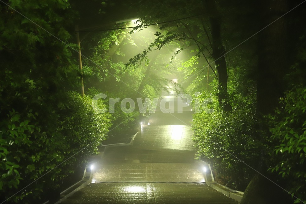 야경,풍경,자연,계단,안개,자연,풍경,nature,landscape,flare,플레어,light,빛