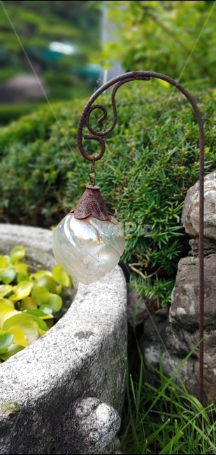 식물,자연,정원,램프,장식물,가로등,garden,인테리어,실내디자인,interior design