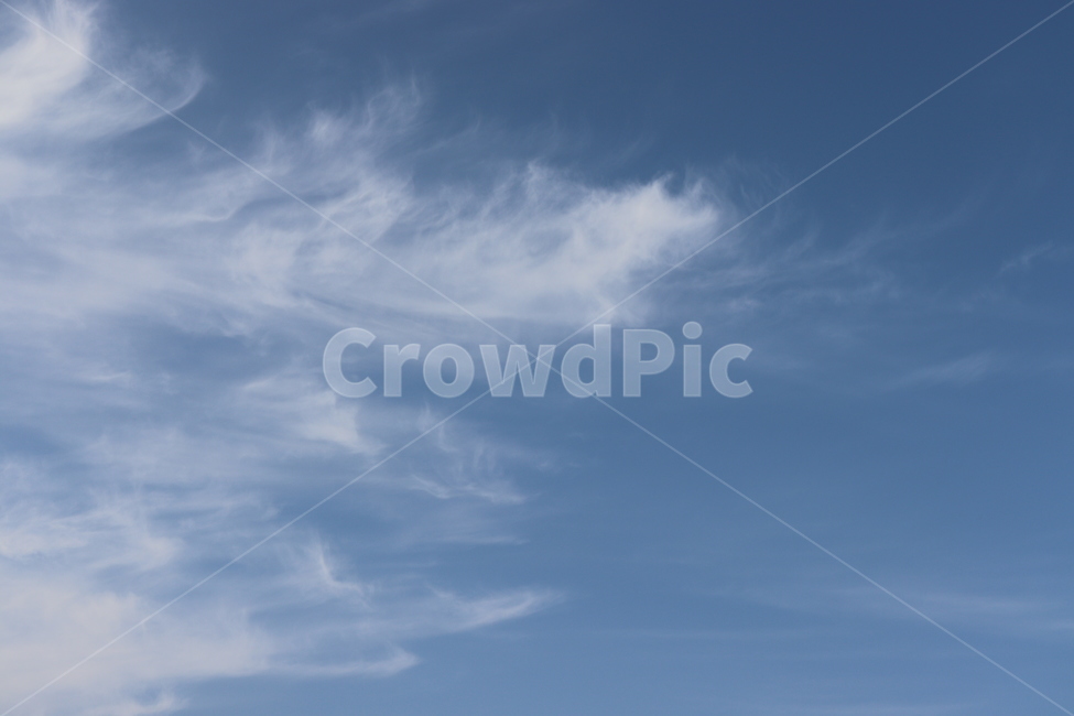 하늘,sky,bluesky,cloud,구름,나무,배경,background,nature,자연,outdoors