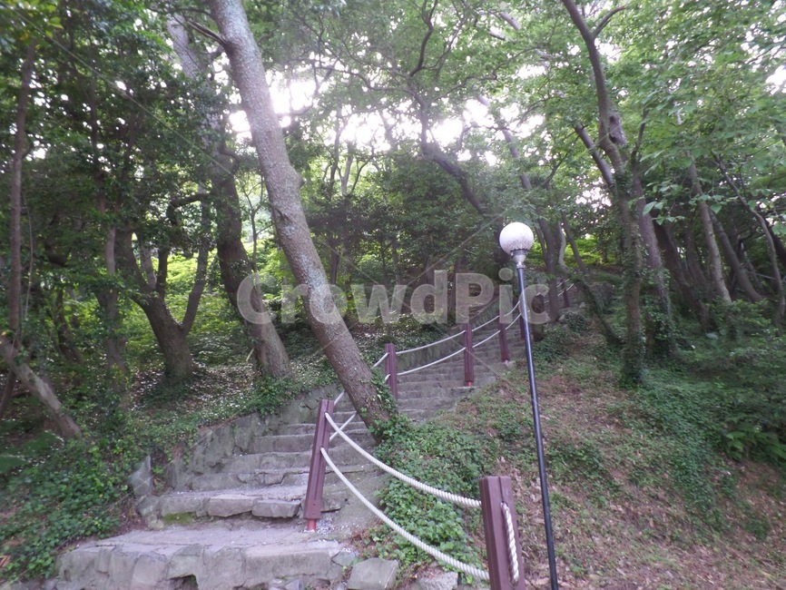 숲길,숲,햇살,부산,태종대