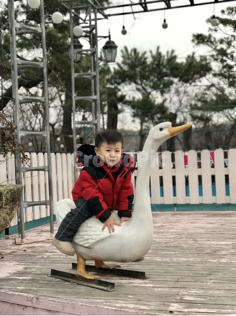 남자아이,겨울,오리모형,오리,아이,어린이,사람,인물,인간,human,person,어린이,어린아이,child,children,kid
