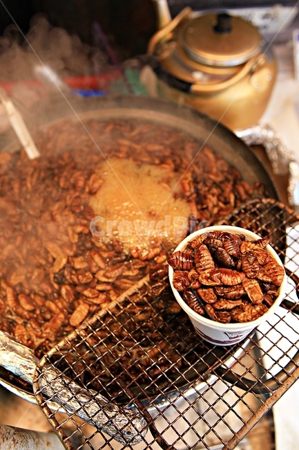 뻔데기,누에,벌레,음식,식자재,음식,식재료,요리,food,cook,meal,dishes,food reserves