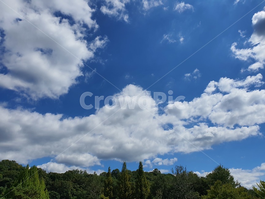 풍경,하늘,푸른하늘,sky,구름,cloud,뭉게구름,자연,풍경,nature,landscape