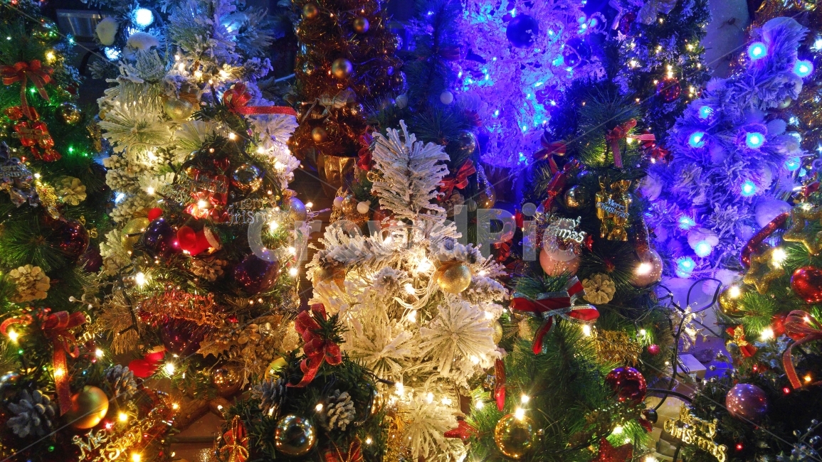 트리,장식,크리스마스,christmas,xmas,decoration,sns,ebook,feeling,emotion,light,조명,빛,나무,년말,12월,전단,출판,편집,시안,홍보용,감성,필,느낌,분위기,보케,빛망울,모바일,콘텐츠,칼라풀,colorful,색상,아름다운,뷰티풀,beautiful,알록달록,종교,탄생,예수,기념일,축하,성탄절,겨울,계절,winter,season,기념일,축하,anniversary,congratulation,celebrate,celebration,메리크리스마스,성탄절,merry christmas
