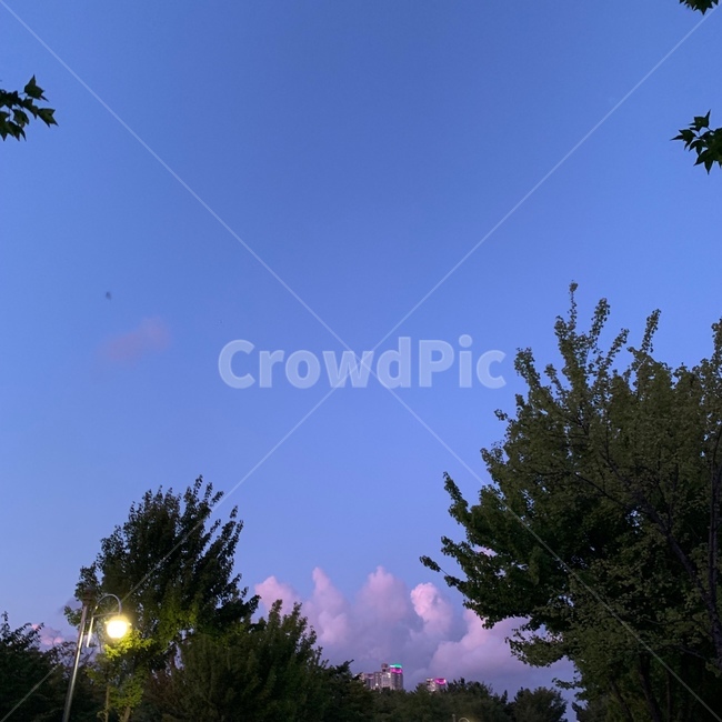 하늘,구름,공원,나무,산책,sky,cloud,park,tree,weather,날씨,nature,자연,outdoors,옥외