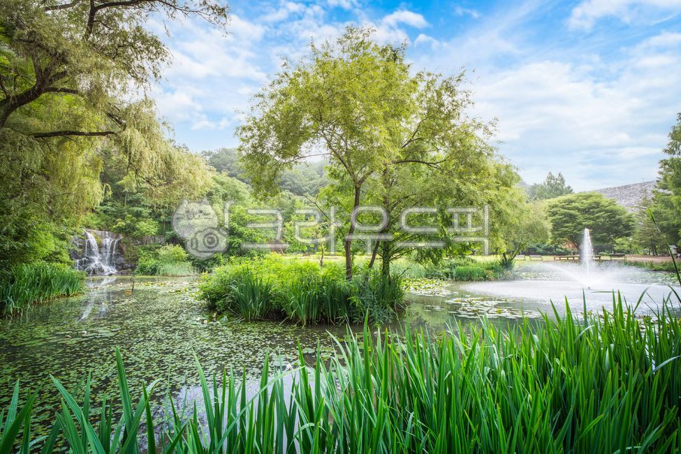 pond, 연못, nature, 자연, water, 사진,이미지,일러스트,캘리그라피 - 감성거니작가