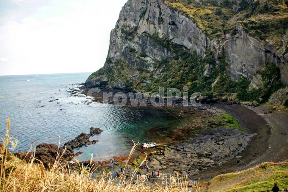 성산일출봉,나무,자연,제주도,일상,여행,숲,바다,자연,풍경,nature,landscape,한국자연풍경,한국자연경관,korea nature landscape,해변,바다,beach,sea,제주도,jeju,jeju island,promontory,곶,water,물,shoreline,해안선,outdoors,옥외,ocean,대양