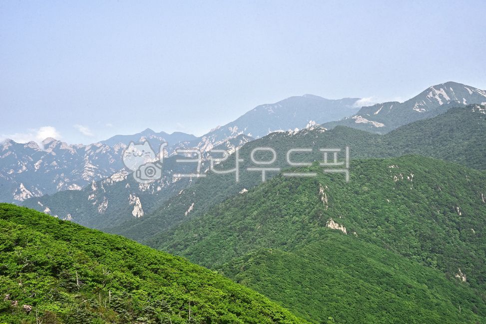 설악산,한국자연경관,산,국립공원,능선,마운틴,자연,산등성이,봉우리,높은산,산맥,mountain,tree,nature,environment,환경,배경,바탕,백그라운드,야외,옥외,아웃도어,힐링,고산준봉,신록,녹음,계절,시즌,첩첩산중,서북능선,외설악