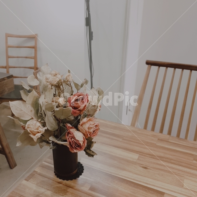 카페,말린장미,꽃,장미,flower