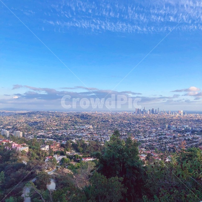 경치,나무,하늘,구름,건물,자연,풍경,nature,landscape,outdoors,옥외,scenery,aerial view,조감도
