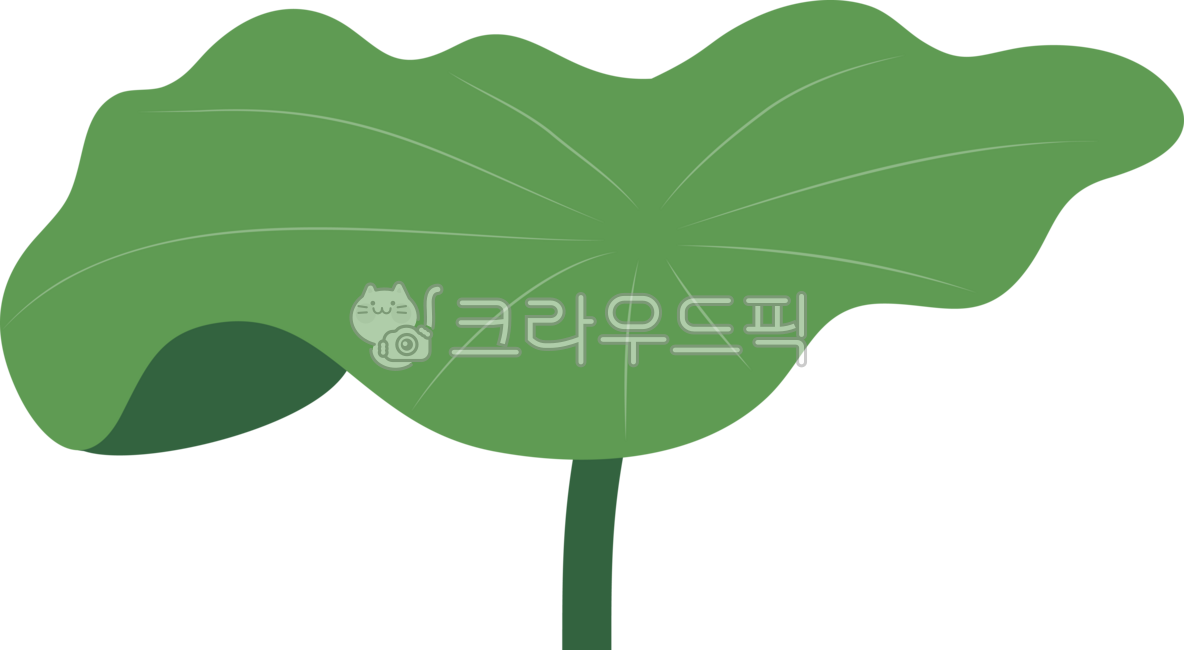 연잎,수생식물,초록잎,개구리연잎,일러스트,green,잎