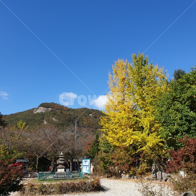 단풍,가을,가을하늘,주말,여유,가을,계절,fall,autumn,season,자연,풍경,nature,landscape,outdoors,옥외