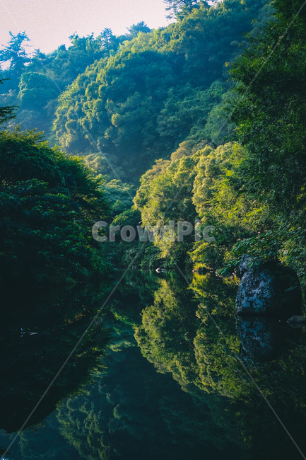 반영,고요,숲,호수,아침,자연,풍경,nature,landscape,한국자연풍경,한국자연경관,korea nature landscape,plant,식물,vegetation,초목,outdoors,옥외