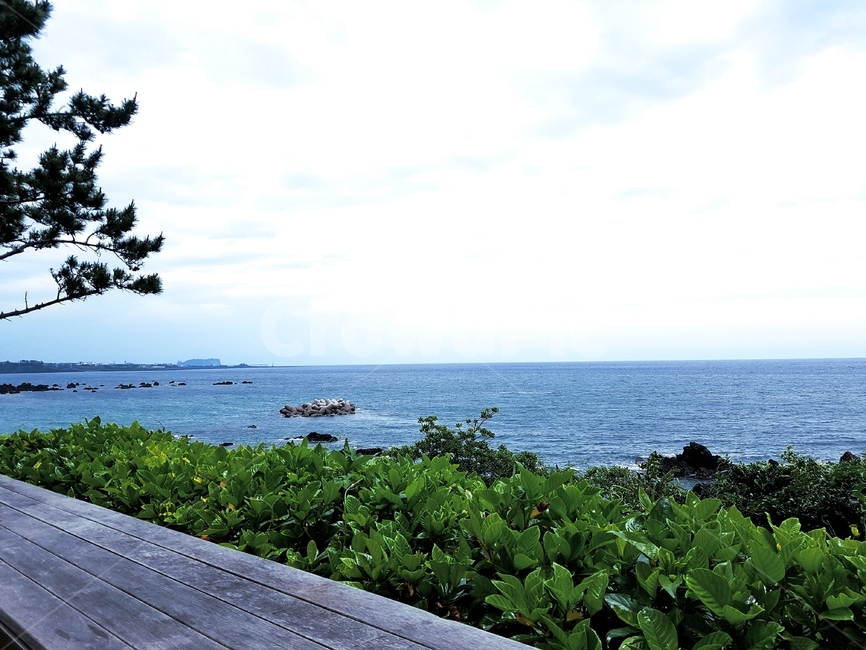 제주,제주도,풍경,바다,감성사진,섬