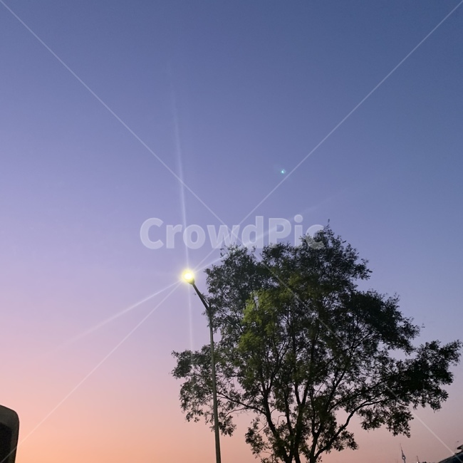 노을,nature,가로등,light,빛,보랏빛