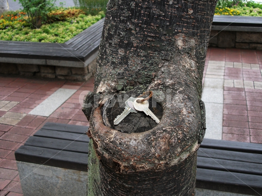 열쇠,나무,녹,열쇠고리,key,keychain,rust,사물,물건,오브젝트,thing,object,matter
