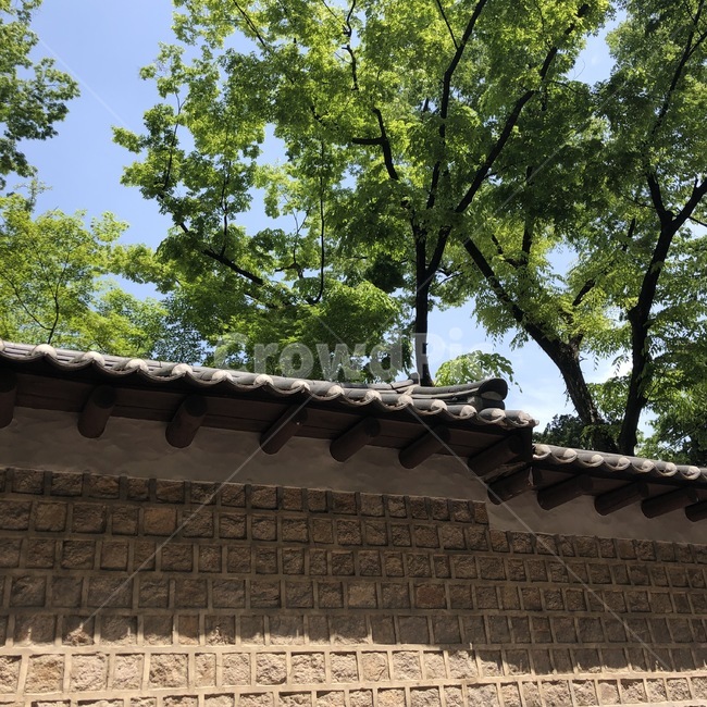 덕수궁돌담길,서울,나들이,봄,햇살
